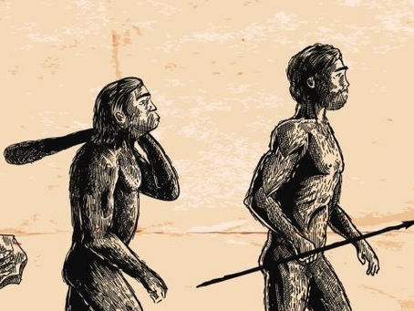 Introduction to Anthropology
