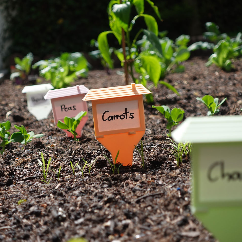 Thumbnail: Roofed plant stakes - set of five