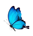 klipartz.com (60).png