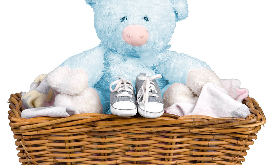 Blue Teddy in a Basket