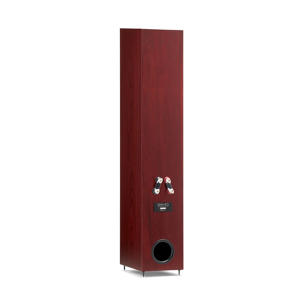 Miniature : MARTIN LOGAN Motion 40i