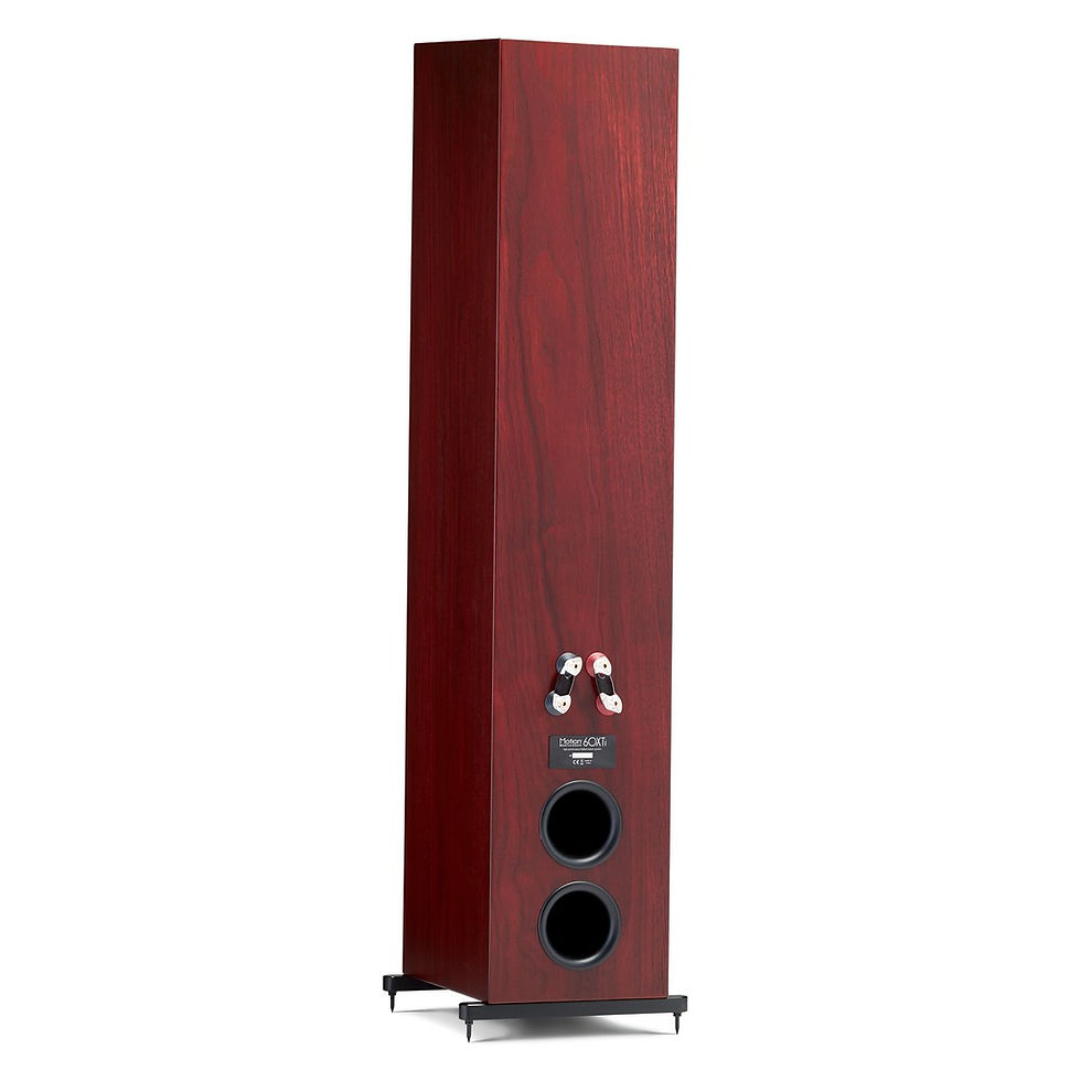 Miniature : Enceintes Martin Logan Motion 60 XTi finition bois face arrière