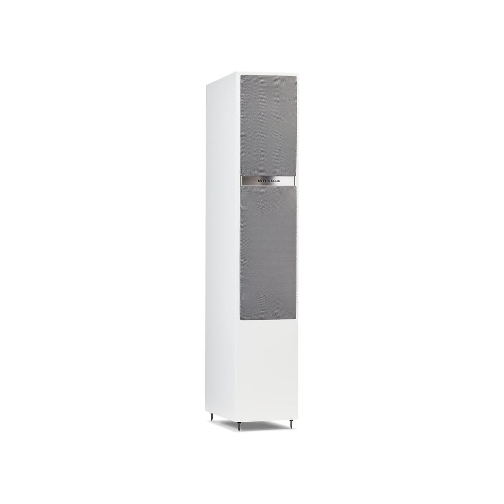Miniature : MARTIN LOGAN Motion 20i