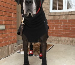 The Thermostat Revelation