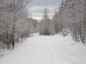 Catching Feathers with a Hairdryer!