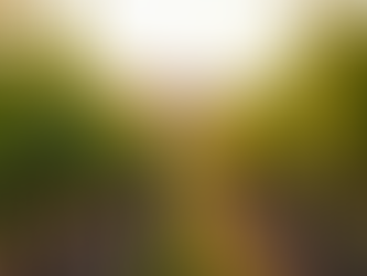 Top Group Wine Tours for Shared Wine Adventures