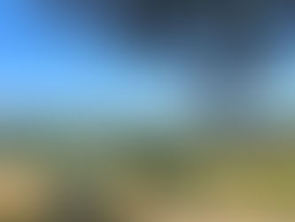 Uncorking Paradise: A Comprehensive Exploration of Sonoma Wine Country & the Best Sonoma Wine Tours