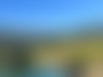 Sonoma County's Exquisite Pinot Noir: A Deep Dive into Wine Differences