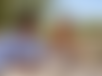 Summer Wine Tasting in Sonoma: What to Wear, Bring & Know