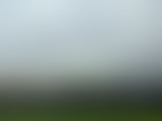 Why Sonoma Wine Tasting in January is Amazing