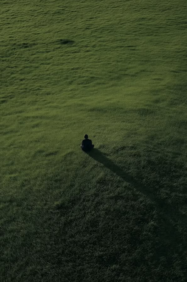 A person sitting in a broad green meadow in the evening light.