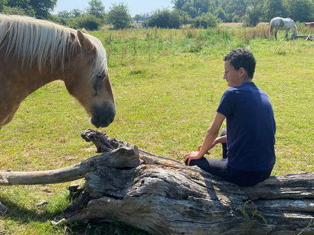 Un garçon atteint de TSA assis sur un tronc d'arbre qui regarde un cheval qui le regarde aussi