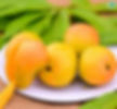 Mango - Alphanso