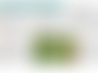 Thill / నువ్వుల సాగు!