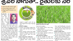 శ్రీ వరి సాగు పద్ధతి!