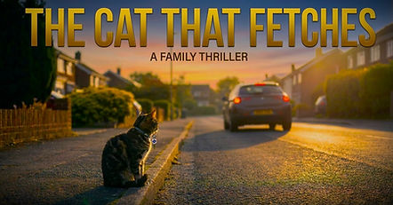 cat that fetches latest poster.jpg