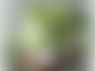 Gesunde Alternativen: Buttercreme ohne Zucker oder vegan herstellen