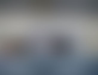 Hasil Seleksi Mentor MPLSPDB 2017