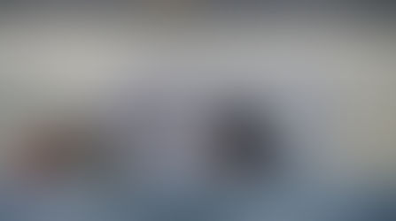 Hasil Seleksi Mentor MPLSPDB 2017