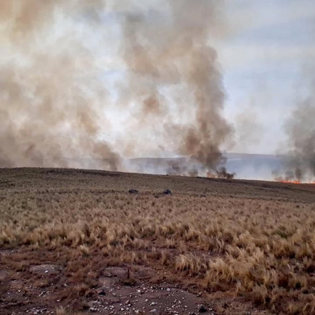 Incendios Forestales en Argentina
