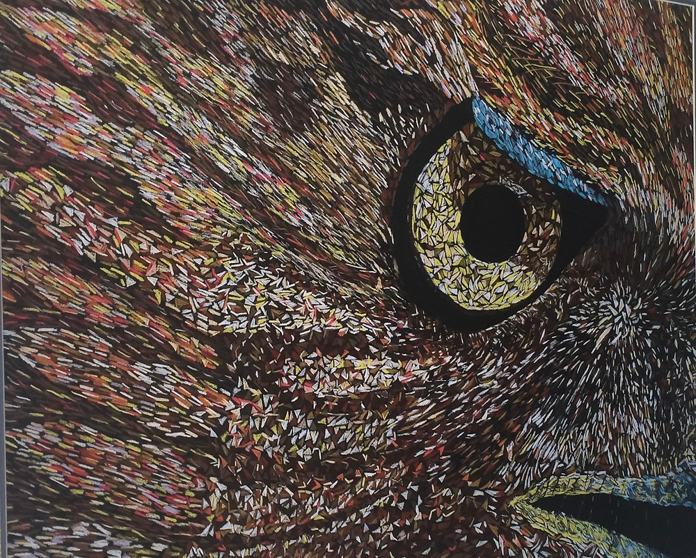 "Close up hawk eye painting by Ron DuHamel"