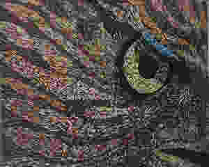 "Close up hawk eye painting by Ron DuHamel"