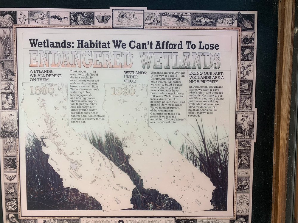 "Wetlands habitat display for environmental awareness at Gray Lodge Wildlife Refuge"