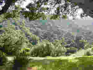 "Chaparral canyon landscape Los Altos Hills CA