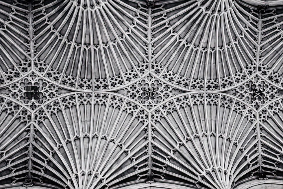black and white image of a cathedral ceiling with intricate design