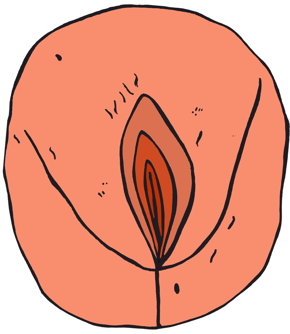 Vagina 12-GIF-V1.gif