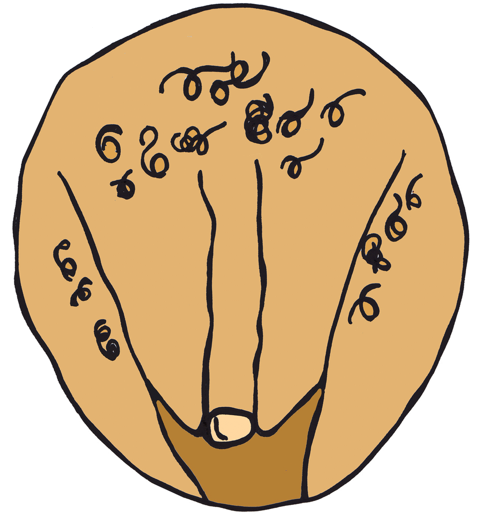 Vagina 10-GIF-V1.gif