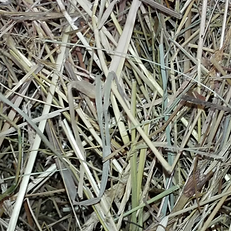 biologisch duits kruidenhooi.png