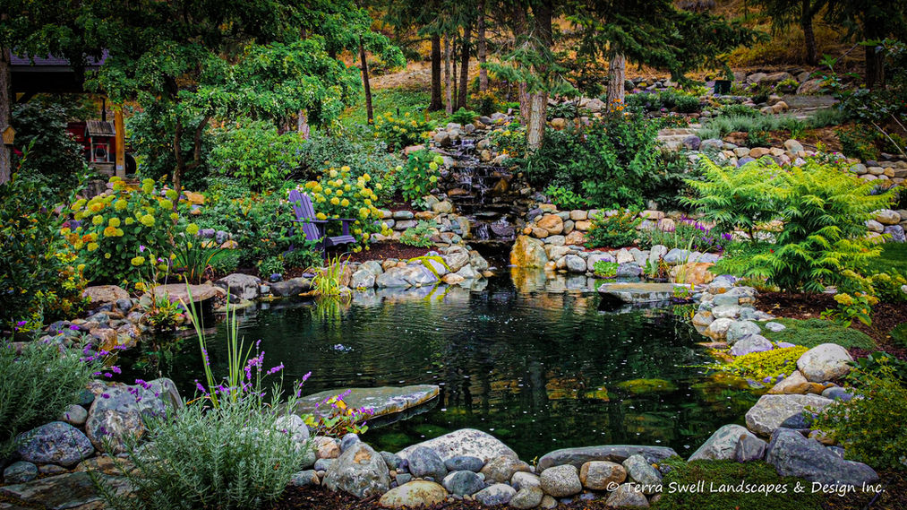 The Backyard Sanctuary-03.jpg