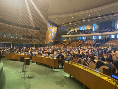 Inclusion Canada at the United Nations