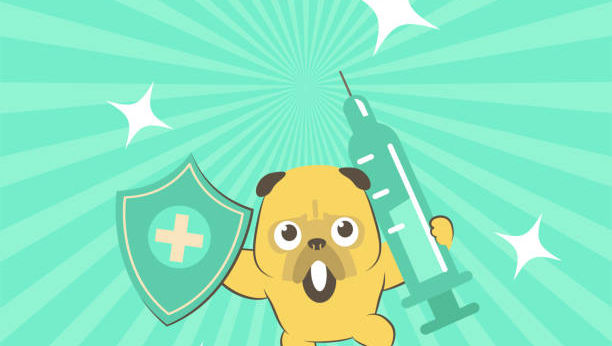 Content Editor: Dr. Manjeet