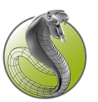3Shaper_logo