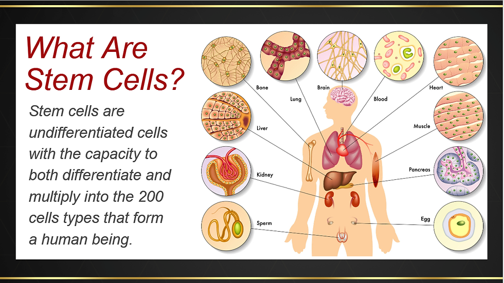Elixir Placenta Stem Cell Theraphy