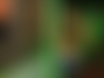 EcoTrail Paris - Ultra Trail in der Stadt der Liebe