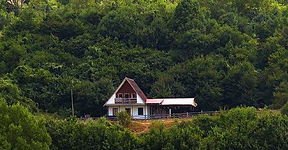 26734190_1706449299401115_61784259904498