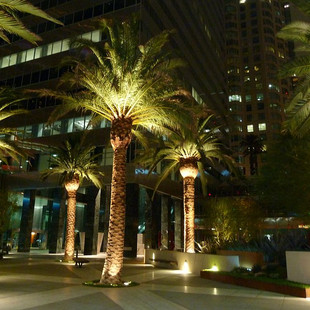 Palm Lighting
