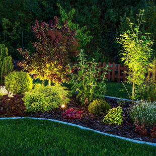Garden Lighting