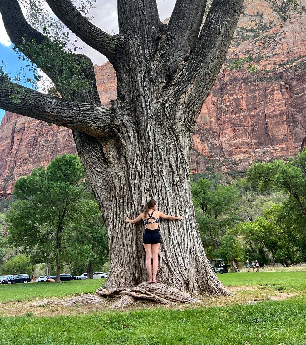 A woman in black shorts and top hugs a large tree in a grassy park with a canyon backdrop. Cars and trees are visible. Serene setting.