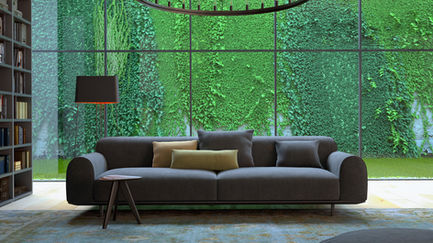 The Jewelry of the Home