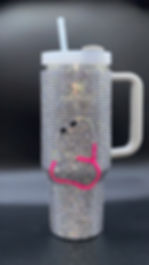 Thumbnail: Sparkling Sips Stanley