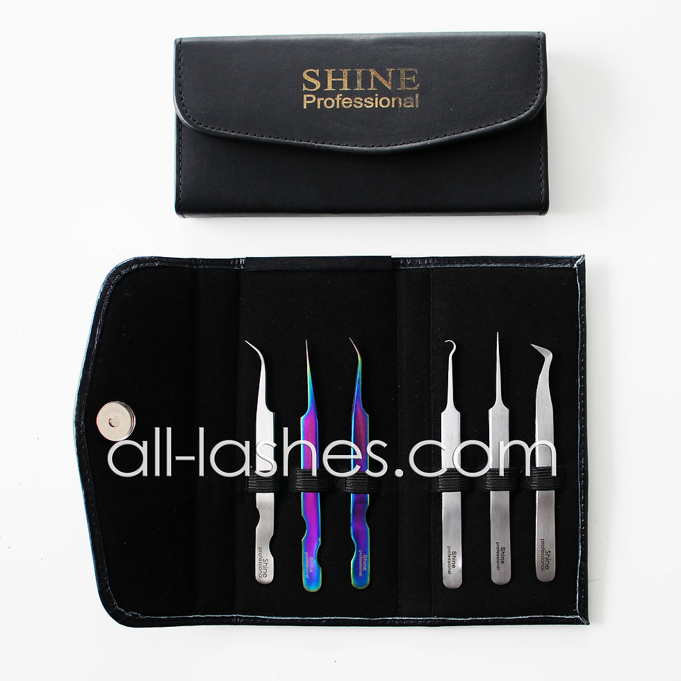 Case for 6-Shine tools, leather