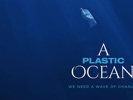 Staff Pick - A Plastic Ocean!