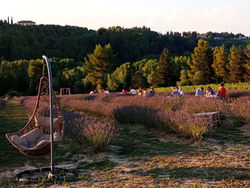 WhatsApp Image 2025-05-15 at 11.30.00 (3)