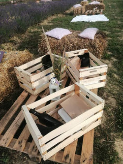 WhatsApp Image 2025-05-15 at 11.30.03 (3)