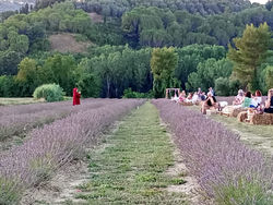 WhatsApp Image 2025-05-15 at 11.30.00 (2)