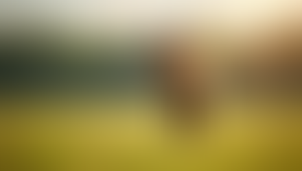 Celebrating Our Feature in Saddle Up Magazine and the Power of Horses as Healers